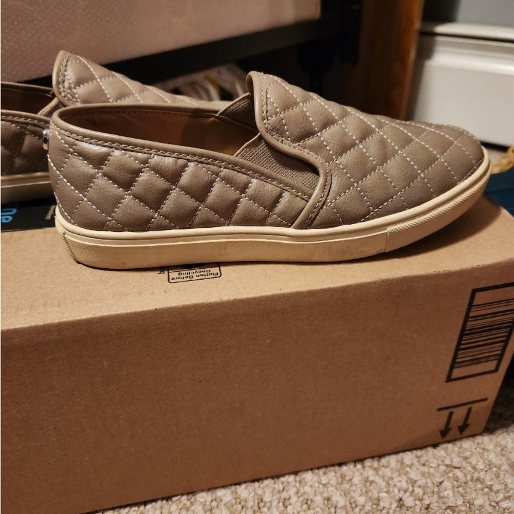 Steve Madden Ecentrcq Slip sneakers